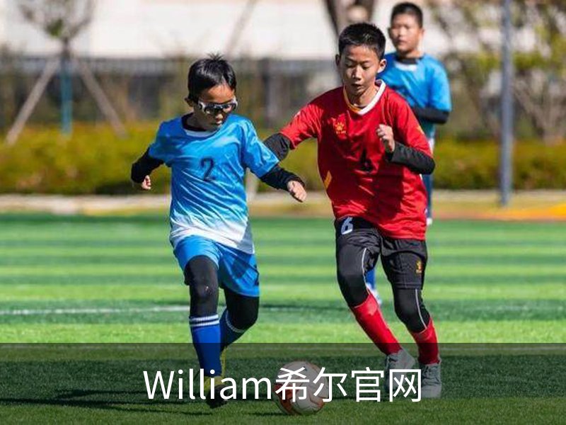 威廉希尔·williamhill(中国)中文官网